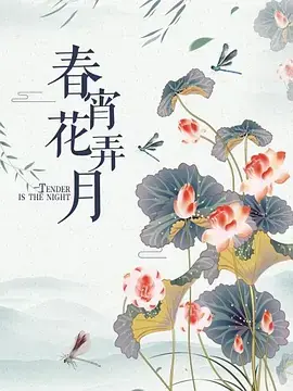 春宵花弄月海报