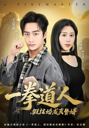 一拳道人,假结婚成真赘婿海报