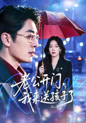 老公开门,我来送孩子了海报