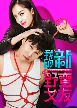 我的新野蛮女友(原声版)海报