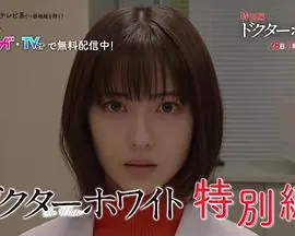 白夜医生特别篇海报