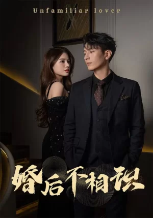 婚后不相识海报