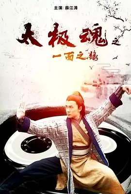 太极魂之一面之缘海报