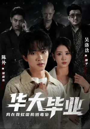 华大毕业,我在霓虹国捣毁毒枭海报