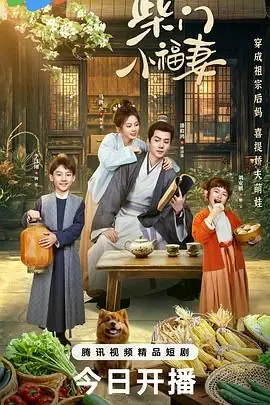 柴门小福妻海报