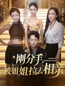 刚分手,被姐姐拉去相亲海报