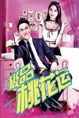 极品桃花运海报