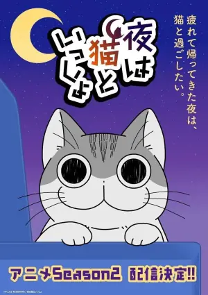 关于养猫我一直是新手第二季海报