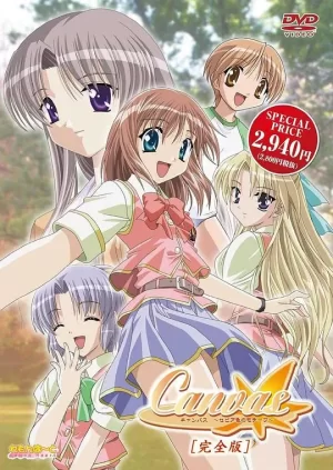 Canvas～茶色的主题～海报