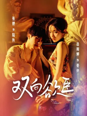双向欲臣海报