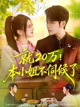 就20万!本小姐不伺候了海报