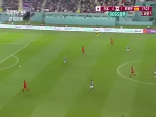 日本VS西班牙海报