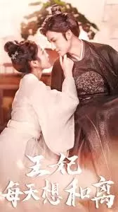 王妃每天想和离海报