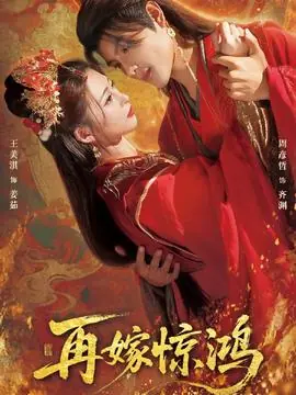 再嫁惊鸿海报