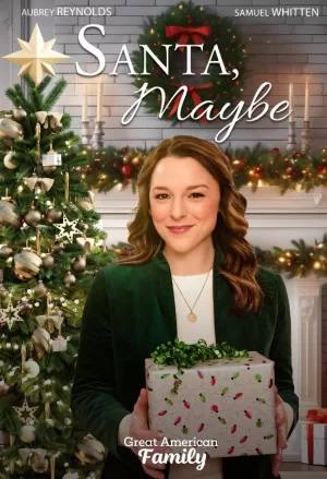 圣诞老人,也许吧海报