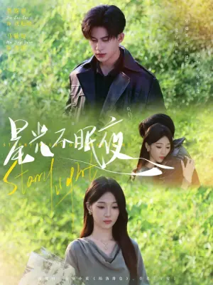 星光不眠夜海报