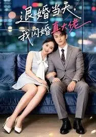 退婚当天,我闪婚真大佬海报
