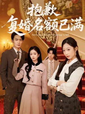 抱歉,复婚名额已满海报