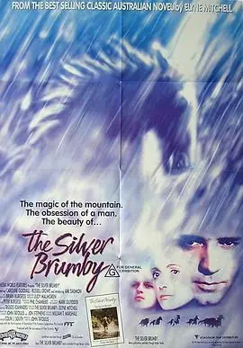 银驹TheSilverBrumby海报