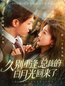 久别重逢,总裁的白月光回来了海报