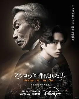 那个叫猫头鹰的男人海报