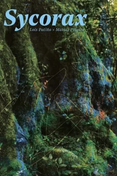 西科拉克斯海报