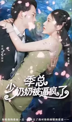 季总少奶奶被逼疯了海报
