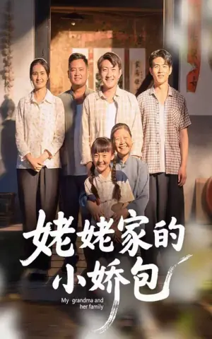 姥姥家的小娇包海报