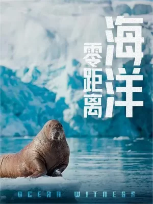 海洋零距离海报