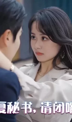 夏秘书,请闭嘴海报