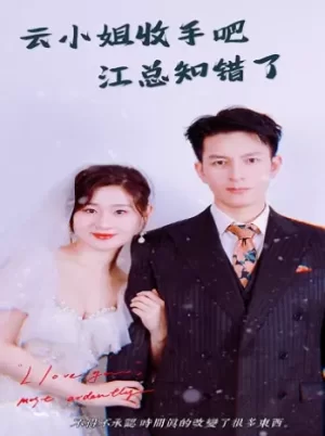 云小姐收手吧江总知错了海报