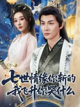 七世情缘你斩的我飞升你哭什么海报