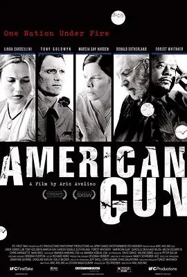 美国武器AmericanGun海报