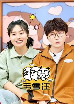 毛雪汪2026海报