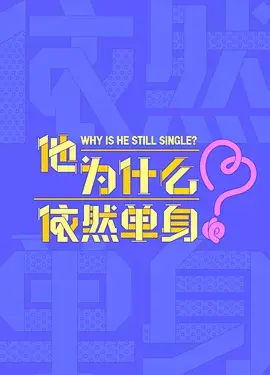 他为什么依然单身海报