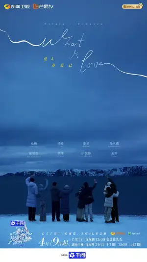 妻子的浪漫旅行2026海报
