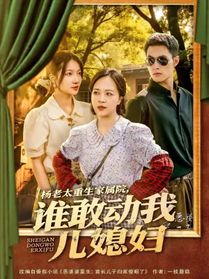 杨老太重生家属院,谁敢动我儿媳妇海报