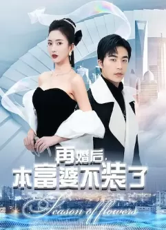 再婚后,本富婆不装了海报