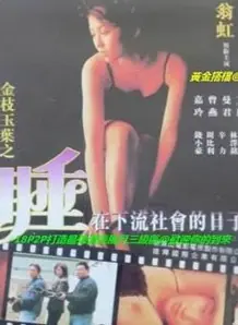 金枝玉叶之睡在下流社会的日子海报