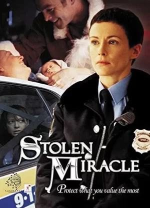 被盗的奇迹海报
