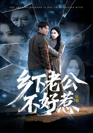 乡下老公不好惹海报