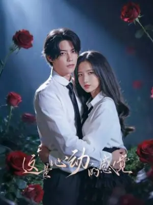 这是心动的感觉海报