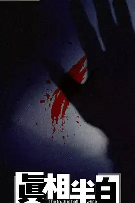 真相半白海报