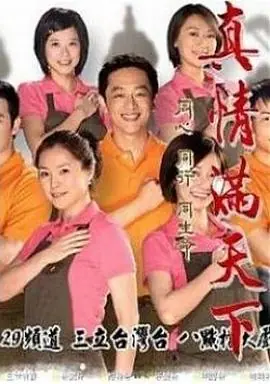 真情满天下海报