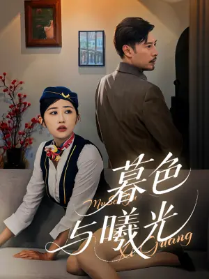 暮色与曦光海报