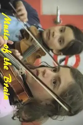 大脑的音乐海报