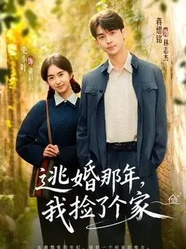 逃婚那年,我捡了个家海报