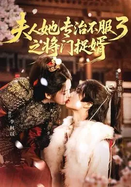 人ta专治不服3之将门捉婿海报