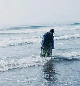 鱼路海报