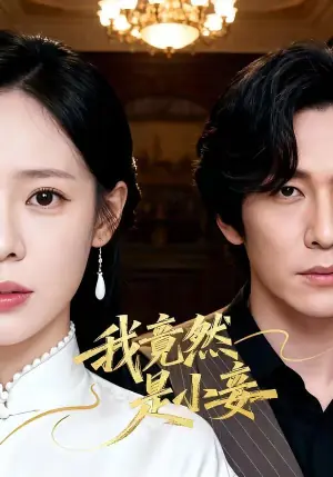 我竟然是小妾海报